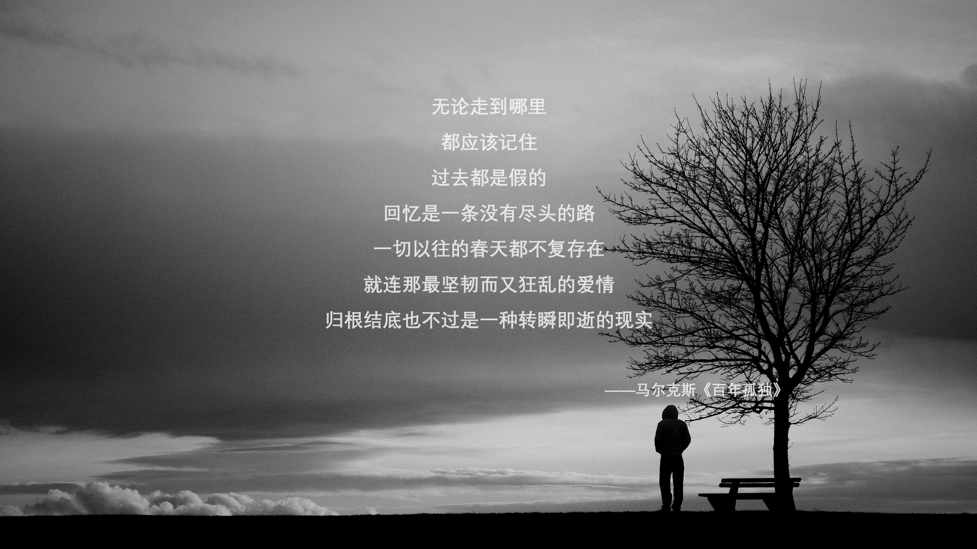 从技术到战略：未来F1的演变趋势，f1引擎未来发展趋势