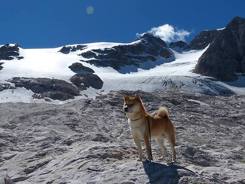 _运动馆灯光秀:科技点亮运动时刻_,运动场灯光