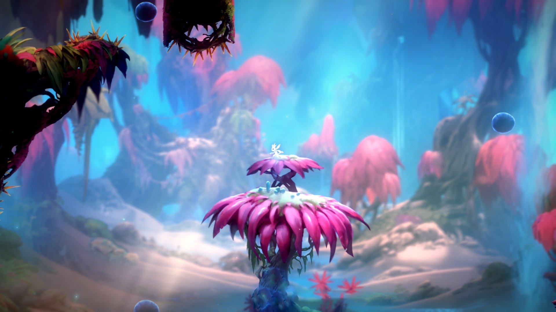 中国篮球联盟推动职业化建设迈出新步伐,中国职业篮球联赛是什么意思